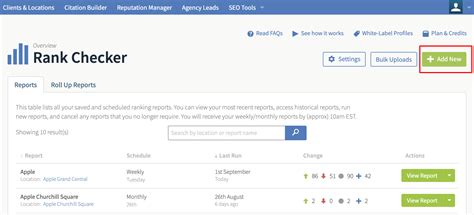 bright local rank checker.